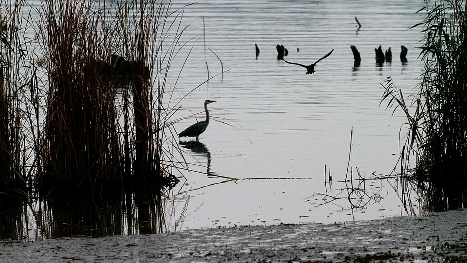 ARQUIVO - Rio Danúbio, perto de Bazias, na Roménia