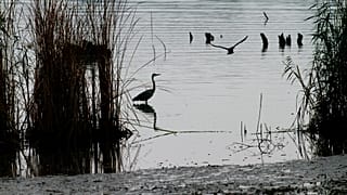 ARQUIVO - Rio Danúbio, perto de Bazias, na Roménia