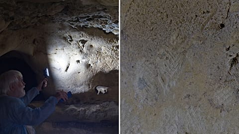 In a groundbreaking discovery, the Loire Valley in France has revealed the oldest cave engravings known in the region, and possibly in all of Europe. 