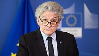 In an interview with Euronews, Thierry Breton said "no one can afford" to leave the European single market.