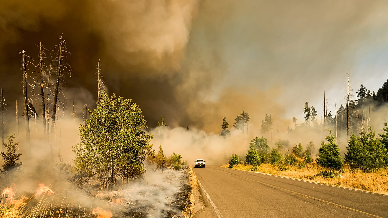 In Ottawa, Canada’s capital city, the air quality was deemed as “high risk” over the weekend. 