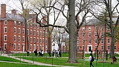 Harvard Üniversitesi kampüsü