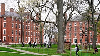 Harvard Üniversitesi kampüsü
