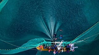 زنان ماهیگیر ونزوئلایی