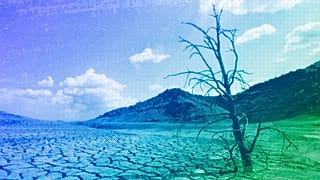 A dead-looking tree is seen on the cracked mud of the dry reservoir bed of Contreras in Valencia, 2006
