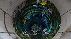 The Loo Gardens