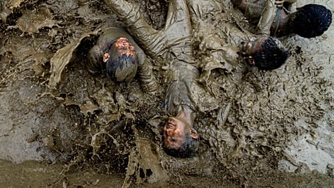 Nepal Rice Festival