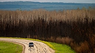 Carro passa por árvores queimadas na província de Alberta, no Canadá, esta terça-feira.