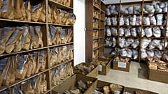 عرض أكياس تحتوي على مخدرات مصادرة في مقر وحدة مكافحة المخدرات التابعة للشرطة في عمان، 7 كانون الثاني 2019.
