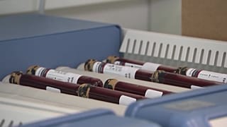 A new blood test can detect genetic abnormalities in the foetus early in the pregnancy without discomfort and miscarriage risk