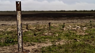 Bajos niveles de agua en el Parque de Doñana 
