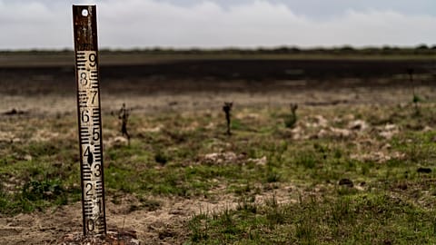 Spain's Doñana National Park has for decades been under the threat of intensive farming, over-exploitation and illegal irrigation.
