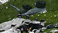 Pedestrians walk by French Land artist Guillaume Legros aka “Saype” new giant land art fresco entitled: "La Grande Dame" (The Great Lady) in Courmayeur, on July 3, 2023.
