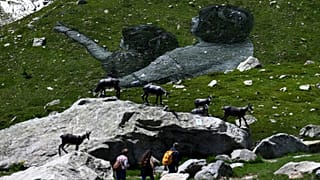 Pedestrians walk by French Land artist Guillaume Legros aka “Saype” new giant land art fresco entitled: "La Grande Dame" (The Great Lady) in Courmayeur, on July 3, 2023.