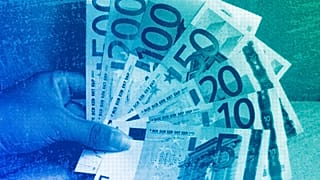 An employee at the State Central Bank in Hanover holding a group of euro notes, 2001