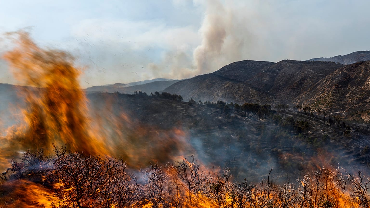 Feu de forêt dévastateur en Espagne (août 2022)