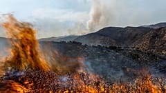 Feu de forêt dévastateur en Espagne (août 2022)