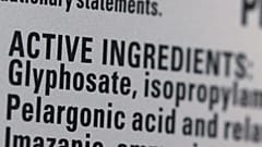 Roundup's list of ingredients, including Glyphosate, is seen on a bottle set for sale in a store in Manhattan, New York City.