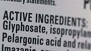 Roundup's list of ingredients, including Glyphosate, is seen on a bottle set for sale in a store in Manhattan, New York City.