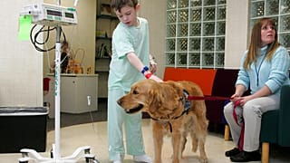 Kaldığı hastanede köpeği ile zaman geçiren bir çocuk (arşiv)