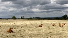 Siccità nel sud della Francia