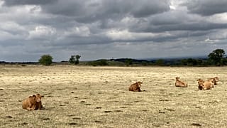 Siccità nel sud della Francia