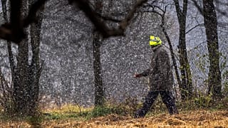 A man walks in a park during a snow storm in Johannesburg, South Africa, Monday, July 10, 2023. Temperatures dropped to sub-zero as a rare cold front hit Johannesburg.