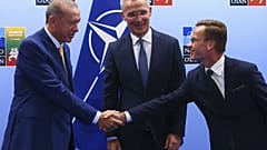 Γενς Στόλτενμπεργκ, Ουλφ Κρίστερσον και Ρετζέπ Ταγίπ Ερντογάν