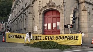 Un activista coloca algas verdes frente a la Prefectura. Detrás, una pancarta reza: "Bretaña contaminada: Estado culpable"