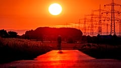Ein Mann fährt mit seinem Fahrrad auf einer kleinen Straße am Stadtrand von Frankfurt, 9. Juli 2023  