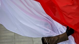 MEPs want the OSCE to deploy a "full-scale observation mission" for the upcoming elections in Poland.