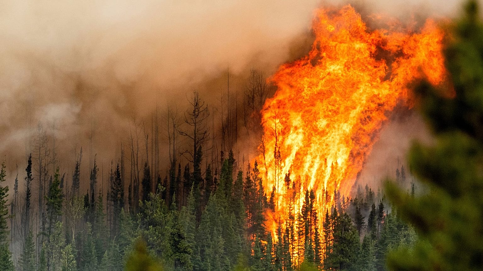 Flames from the Donnie Creek wildfire burn along a ridge top north of Fort St. John, British Columbia, Sunday, July 2, 2023.