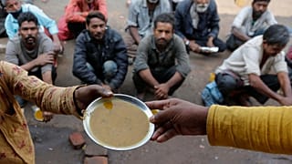 استقرار عدد الجياع