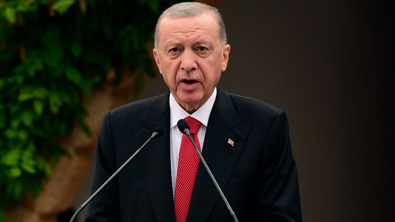 Cumhurbaşkanı Recep Tayyip Erdoğan 