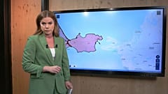 Sasha Vakulina, euronews