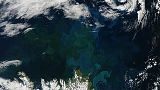 Plankton bloom over Iceland