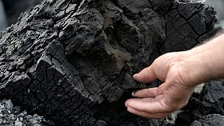 Any pledge to phase out fossil fuels would need to include the end of coal power. 