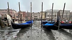 Gôndolas estacionadas durante a maré baixa em Veneza
