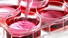 Mission launched to position France as global frontrunner in biomedical research and innovation