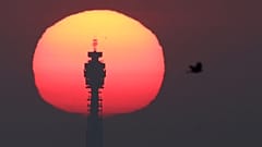 Die Sonne geht hinter dem BT Tower auf, und im Vordergrund fliegt ein Vogel, während das heiße Wetter in London anhält.