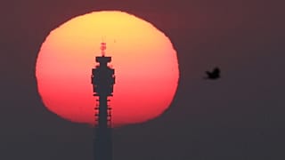 Le soleil se lève derrière la BT Tower, avec un oiseau volant au premier plan, alors que le temps chaud se poursuit, à Londres.