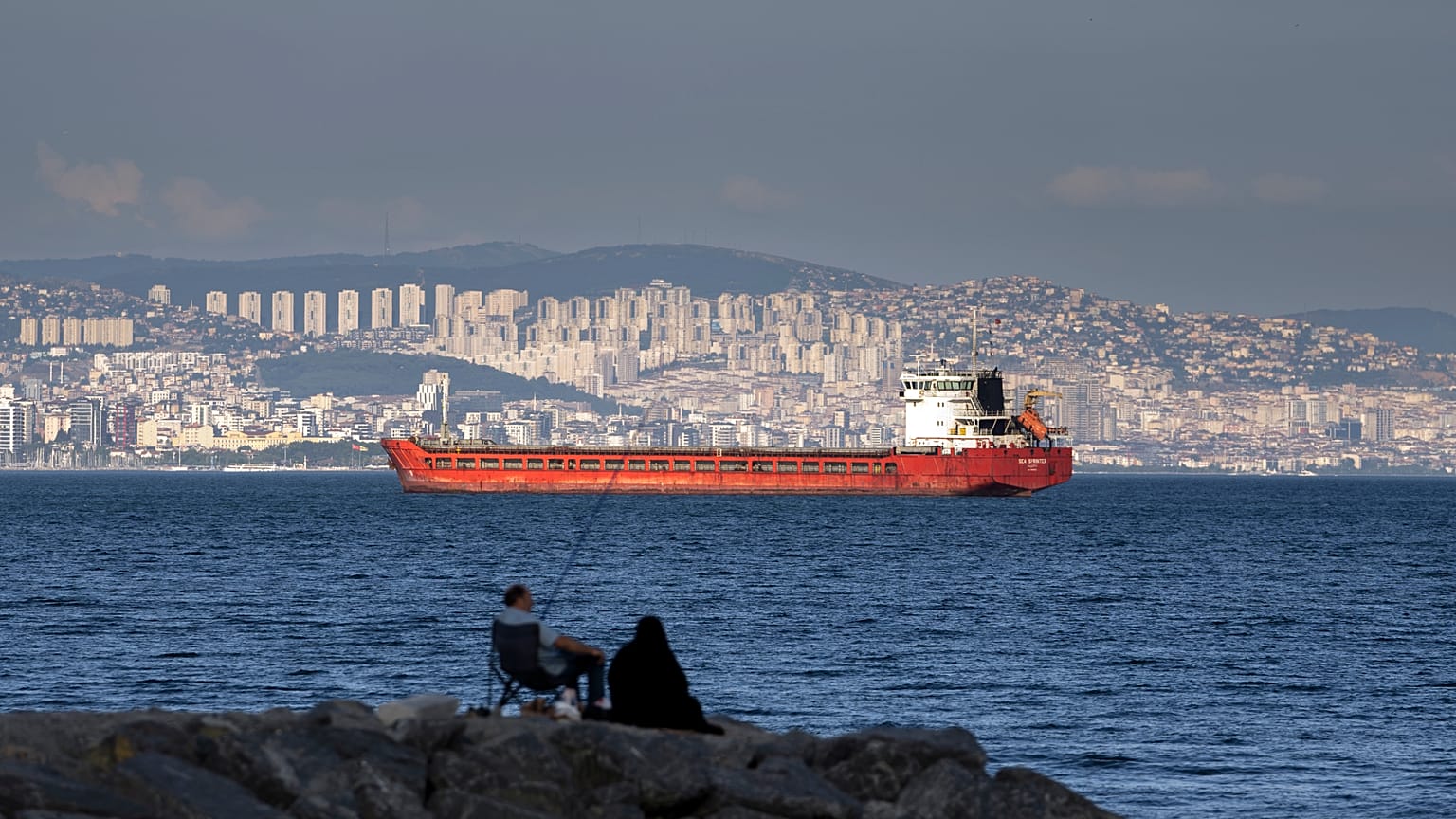 Πλοίο με ουκρανικά σιτηρά