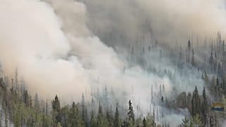 Dichter Qualm steigt auf an der Westküste Kanadas