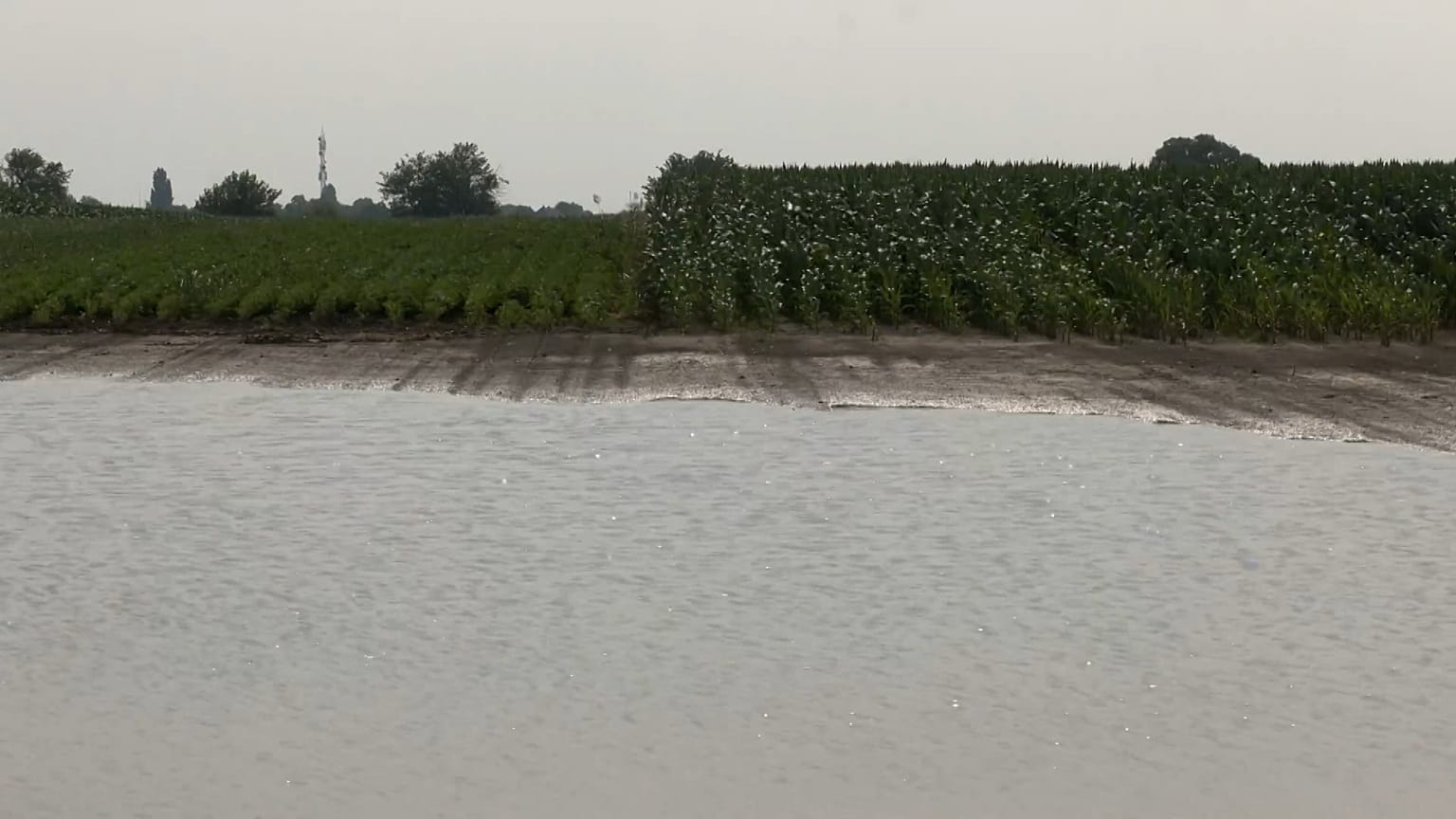 Dejan Ivanisević, un agricultor de Kisač, un pueblo a unos 100 kilómetros de Belgrado, siente las condiciones meteorológicas extremas