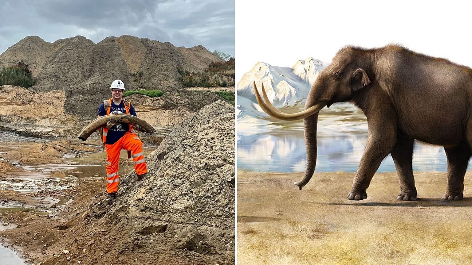 The recently-discovered mammoth tusk is believed to be over 400,000 years old, dating back to the pre-Ice Age era. 
