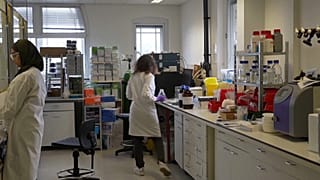 Hoffnung auf neue Medikamente gegen Alzheimer
