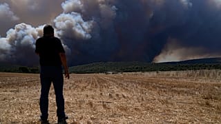 Incendi e caldo torrido