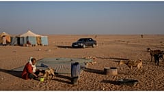 الصحراء الغربية 