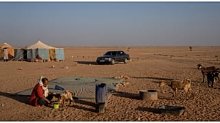 الصحراء الغربية 