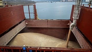 Panik an den Weltmärkten für Getreide nach Russlands Angriffen auf Odessa